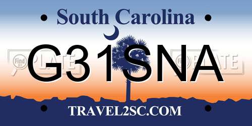 G31SNA South Carolina License Plate