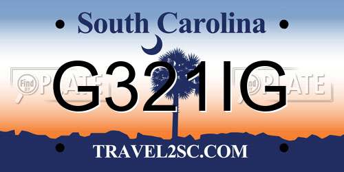 G321IG South Carolina License Plate