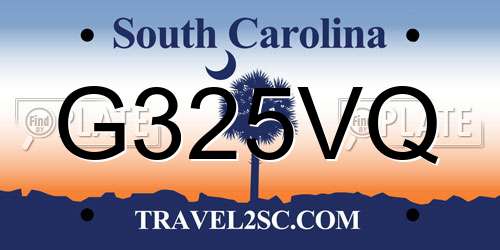 G325VQ South Carolina License Plate