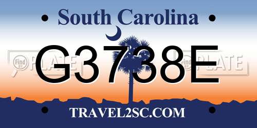 G3738E South Carolina License Plate