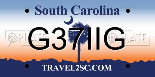 G37IIG South Carolina License Plate