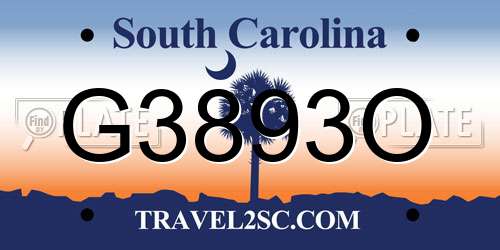 G3893O South Carolina License Plate