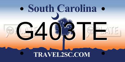 G403TE South Carolina License Plate
