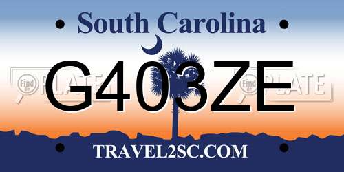 G403ZE South Carolina License Plate