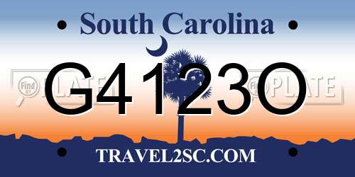 G4123O South Carolina License Plate