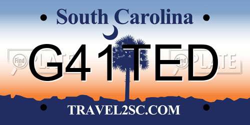 G41TED South Carolina License Plate