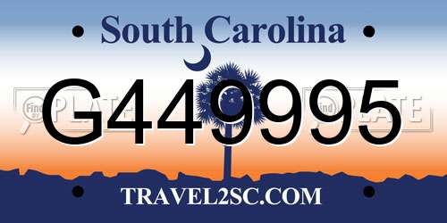 G449995 South Carolina License Plate