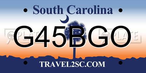 G45BGO South Carolina License Plate