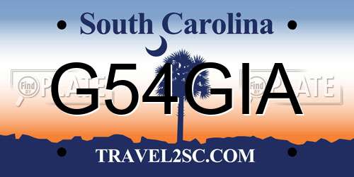G54GIA South Carolina License Plate