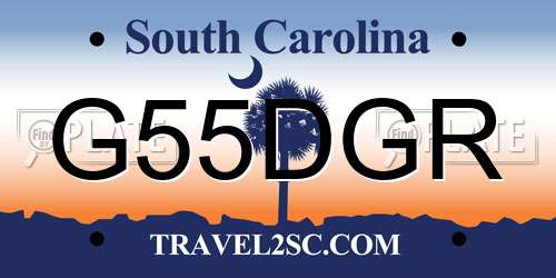 G55DGR South Carolina License Plate