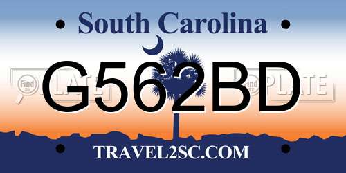 G562BD South Carolina License Plate