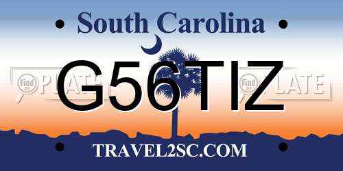 G56TIZ South Carolina License Plate