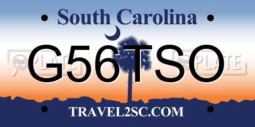 G56TSO South Carolina License Plate