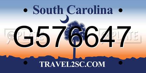 G576647 South Carolina License Plate