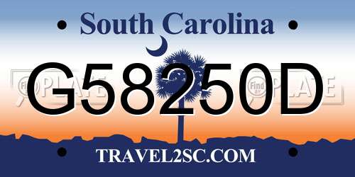G58250D South Carolina License Plate