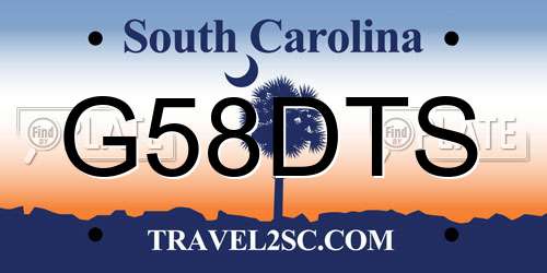 G58DTS South Carolina License Plate
