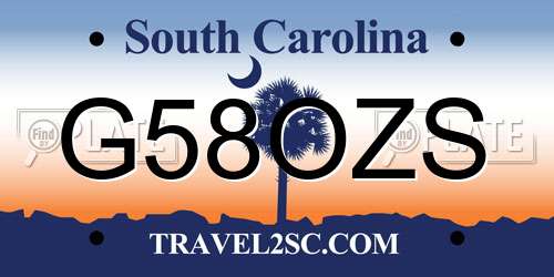 G58OZS South Carolina License Plate