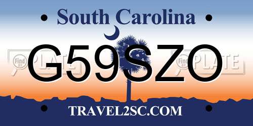 G59SZO South Carolina License Plate