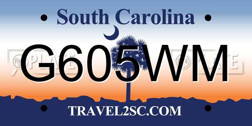 G605WM South Carolina License Plate