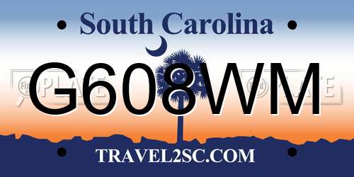 G608WM South Carolina License Plate