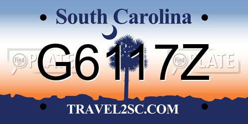 G6117Z South Carolina License Plate