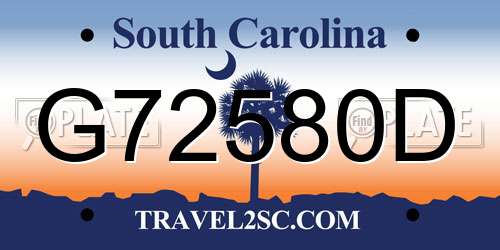 G72580D South Carolina License Plate
