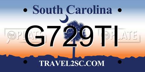 G729TI South Carolina License Plate