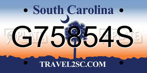 G75854S South Carolina License Plate