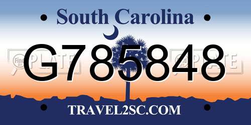 G785848 South Carolina License Plate