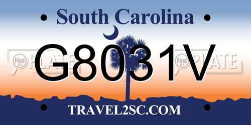 G8031V South Carolina License Plate