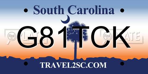 G81TCK South Carolina License Plate