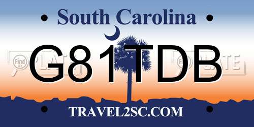 G81TDB South Carolina License Plate