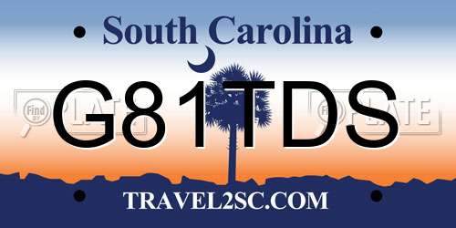 G81TDS South Carolina License Plate