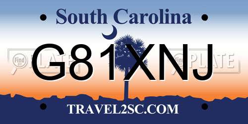 G81XNJ South Carolina License Plate