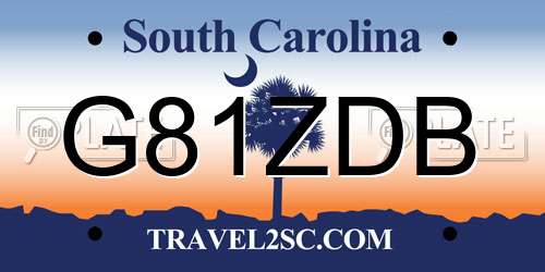 G81ZDB South Carolina License Plate
