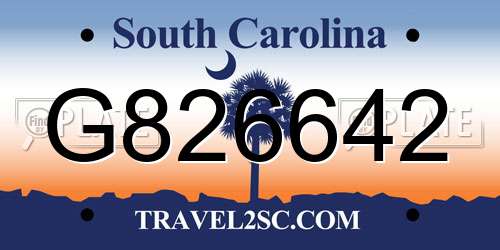 G826642 South Carolina License Plate