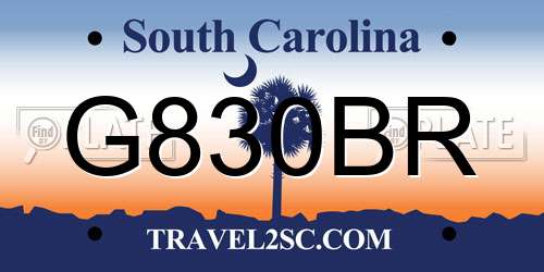 G830BR South Carolina License Plate