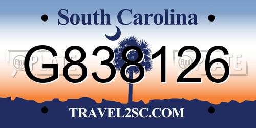 G838126 South Carolina License Plate