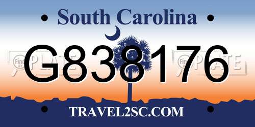 G838176 South Carolina License Plate