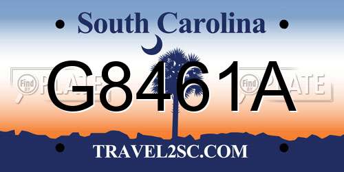 G8461A South Carolina License Plate
