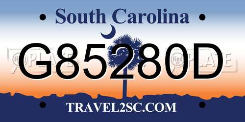 G85280D South Carolina License Plate