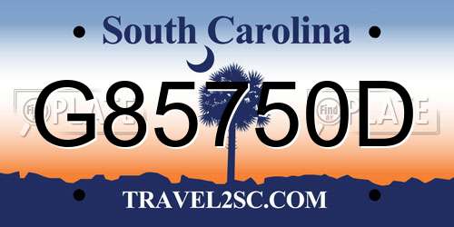 G85750D South Carolina License Plate