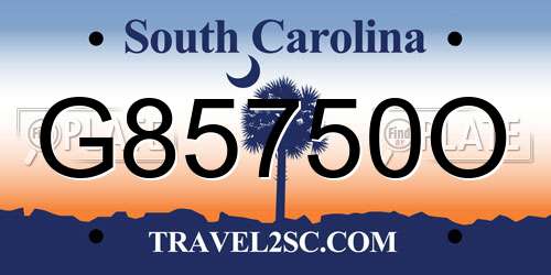 G85750O South Carolina License Plate