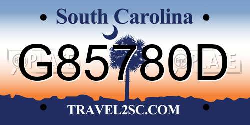 G85780D South Carolina License Plate