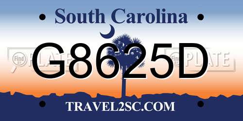 G8625D South Carolina License Plate