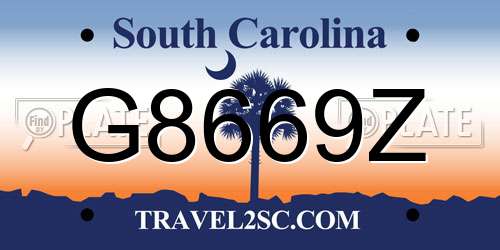 G8669Z South Carolina License Plate