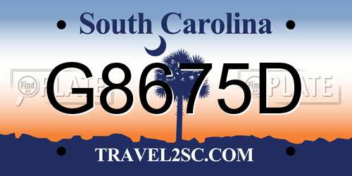 G8675D South Carolina License Plate