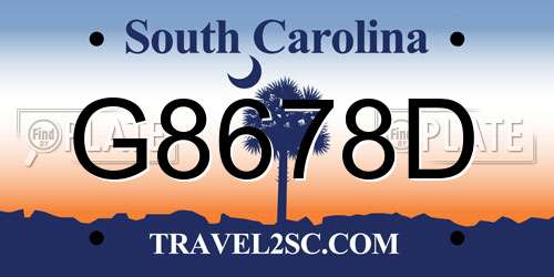 G8678D South Carolina License Plate