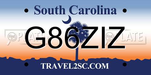 G86ZIZ South Carolina License Plate