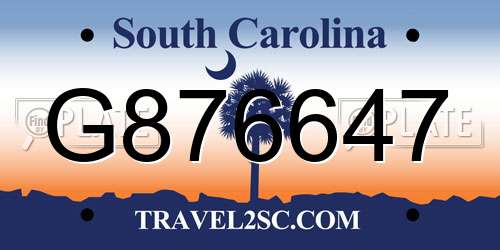 G876647 South Carolina License Plate